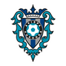 Avispa Fukuoka