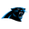 Carolina Panthers