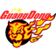 Guangdong Southern Tigers