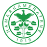 Hamarkameratene