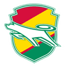 JEF United Ichihara Chiba