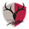Kashima Antlers