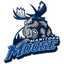 Manitoba Moose