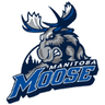 Manitoba Moose