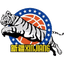 Xinjiang Flying Tigers
